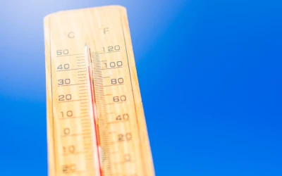 Staying Balanced in the Heat: Natural Ways to Support Your Body This Summer