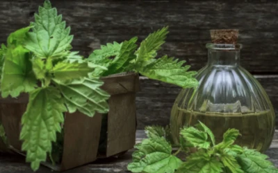 Functional Medicine vs Naturopathy in Ventura CA: Key Differences Explained Simply